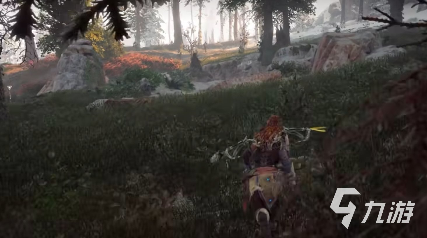 巫师3：狂猎 完整版 截图13